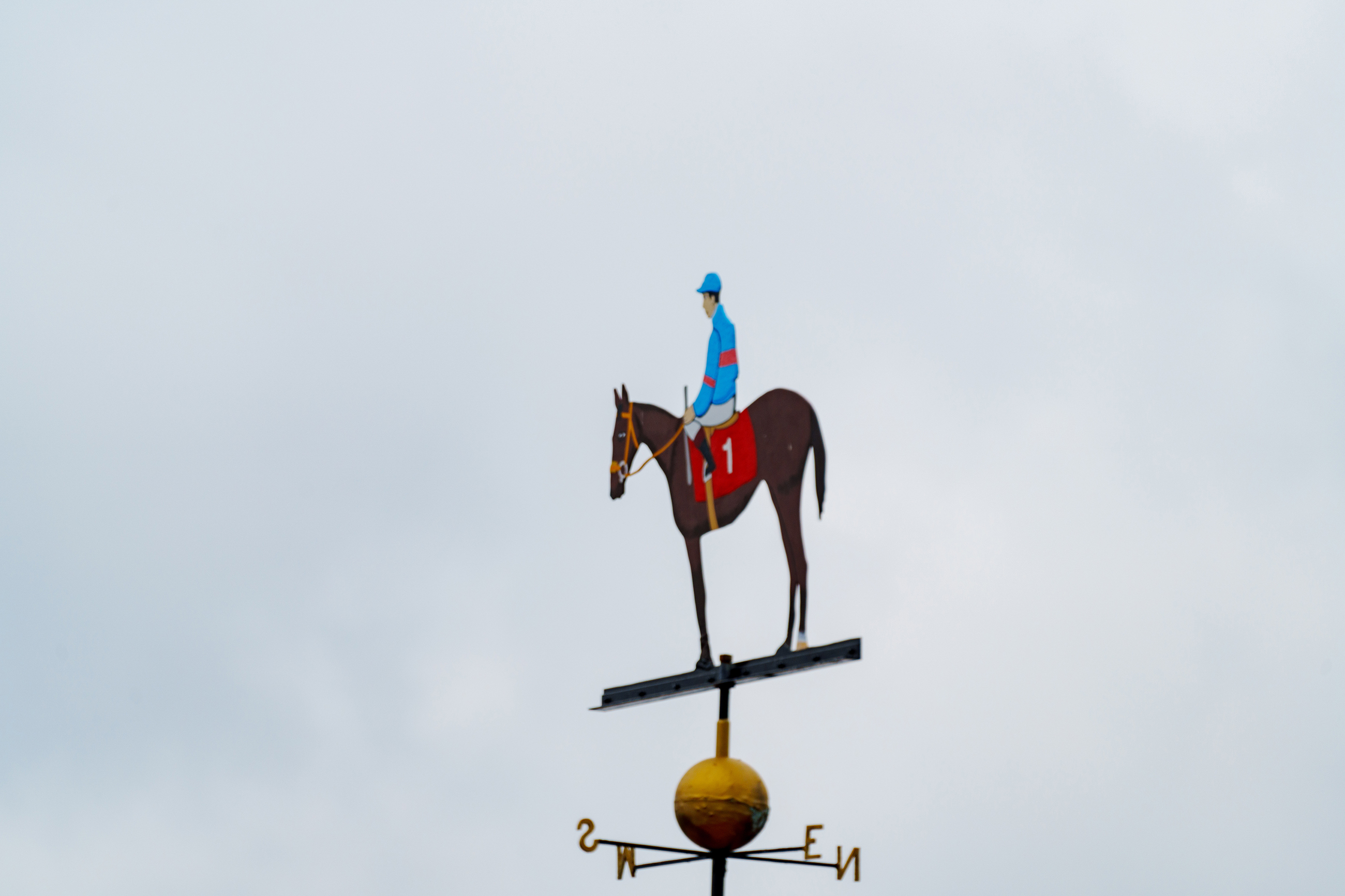 Painting of the Jockey